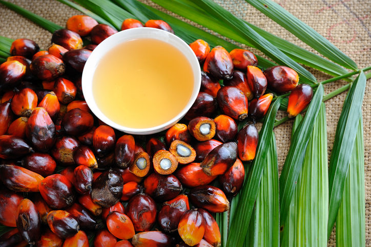 Myth: Indonesian palm oil is not certified sustainable